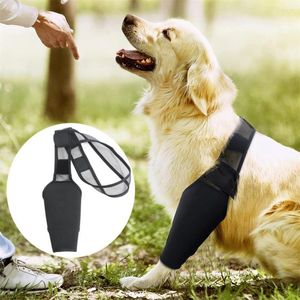 Colares de cachorro lençamento de cinta de joelho de estimação Fácil de usar fita adesiva de malha respirável Ajustável Forneça neoprene de proteção para P