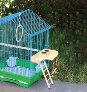 Outros suprimentos para pássaros Brinquedo de escada engraçado Suporte de plataforma bonito Resistente à mordida Alimentação Compacto Moer Boca1083849