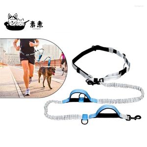 Collari per cani Guinzaglio per cani Corsa da jogging Cintura imbottita Striscia riflettente Collare per imbracatura elastica Piombo Allenamento a piedi