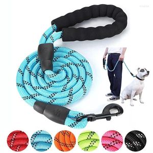 Dog Collars Nylon Leash Medium Sized Lead Pet Training Run Walking Safe Hill Climbing