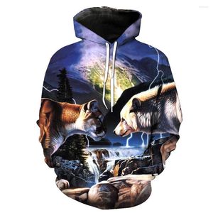 Herrtröjor cnuuikooek tröjor 3d lejon och björn tryckt huva fick pullover hoody mode