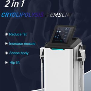 2 I 1 Electromagnetic Body Shaping Machine Body Shaping 360 Cryo Therapy Freezing Weight Loss Beauty Salon Equipment