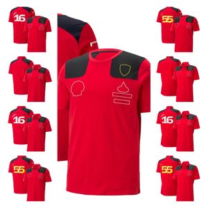 2023 neuer F1-Rennanzug T-Shirt Team Kurzarm-POLO-Shirt Herren-Sommer-Custom-Fans schnell trocknende Kleidung