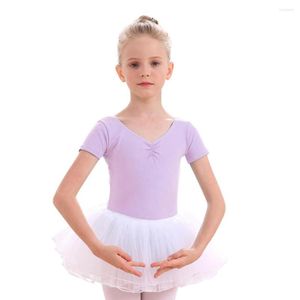 Stage Wear Girls Two-Piece Ballet Dancewear Suit Short Sleeve Dance Leotard With Tutu Skirt Ballerina Outfit