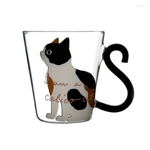 Vinglas Kawaii Glass Cup For Drinks Estetic Kitty Tumbler Bubble Söt muggar Te kaffevatten Glasvaror