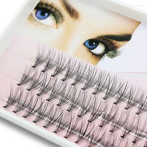 False Eyelashes Navina Natural Long Individual Cluster Eyelash Extension 60 Bundles/Box Makeup 10D Mink Flare Lashes Cilia Cilio