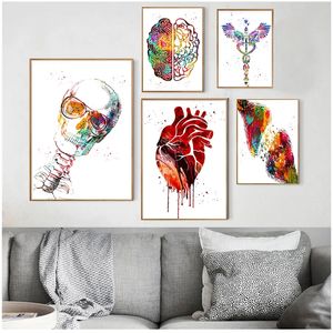 Medical Education Office Picture posters canvas painting Human Anatomy Muscle System Art Print Watercolor Human Figure Painting Woo