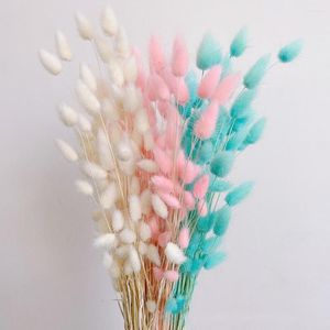 Decorative Flowers 50pcs/Bunch Colorful Pastoral Tail Grass Tails Dried Bouquets Plant Stems Wedding Material Home Decor