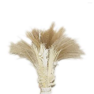 Decorative Flowers Pampas Grass 60Pcs Natural Dried Decor 17Inch-Brown For Flower Arrangements Boho Wedding Home