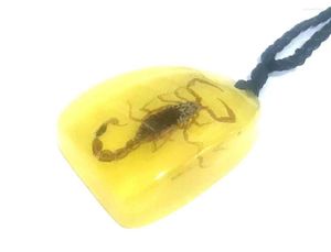 Pendant Necklaces 20 Pcs Real Gold Scorpion Amber Resin Color Ornaments