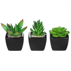 Decorative Flowers Artificial Succulents Fake Planter Mini Potted Indoor Succulent Outdoor Faux Pots Simulation Pot Bonsai Black Ceramic