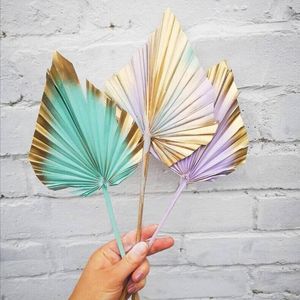 Decorative Flowers Natural Dried Flower Palm Leaf Fan Plant Material DIY Handmade Home Wall Decoration Simulation Supplies