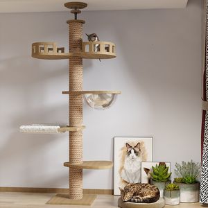 Кошачья мебель скретчики дерево от пола до потолочной башни Регулируемая котенок многоуровневая квартира с царапингом Post Pad Hammock Activity Центр 230222