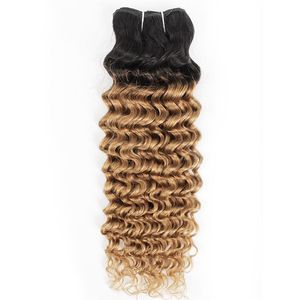 Indian Deep Wave Curly Hair Weave Bundles 1B 27 Ombre Honey Blonde Two Tone 1 Bundles 10-24 inch Peruvian Malaysian Human Hair Ext3098