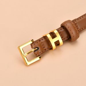 CEINTURE CINTURA HEAD静かなLitchi Great Belts Western Fashion Women Leather Leather Alloy Pin Backle汎用性のあるSkir s