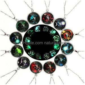 Collane con ciondolo Glow In The Dark 12 Segno zodiacale per donna Uomo Acciaio inossidabile Oroscopo Cabochon in vetro Catene Moda Luminoso Dr Dhnky