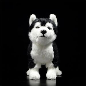 Animais de pel￺cia de pel￺cia 25 cm de cachorro husky siberiano brinquedo com olhos marrom/ azul