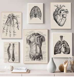 Nordic Canvas Print Education Painting Modern Decor Human Anatomy Artwork Medical Wall Picture Muscle Skeleton Vintage Poster Woo