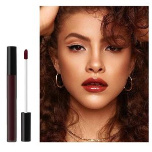 Lip Gloss Beauty Counter Products Velvet Liquid Lipstick Cosmetics clássicos à prova d'água clássica Longa Cor de chegada suave