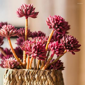 Dekorative Blumen, künstlicher Sukkulenten-Raum, Heimdekoration, mehrköpfige Dianthus-Ornamente, Kunststoff-Fälschungsblumen-Cluster-Blumenstrauß, grüne Pflanzen