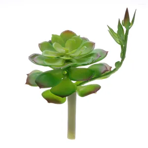 Flores decorativas para Cuartos Faux suculento plantas artificiais simulação suculentaas falsas