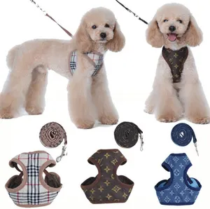 Sele och kopplar set klassiska mönster husdjur krage koppel andningsbara nät husdjurssele för små hundar poodle schnauzer