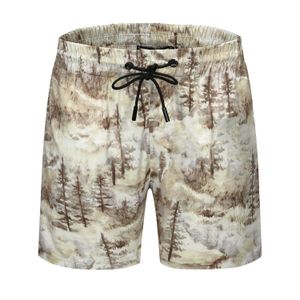 Summer Beach Swimwear Designer Men Board Shorts Water Resistant Quick Drying Swimsuits Trunks Fashion Casual Seaside Surf Shorts Pants