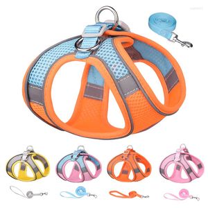 Collari per cani Imbracatura Guinzaglio per cani Set morbido e traspirante Pet Cat Mesh riflettente con nylon regolabile Piccolo