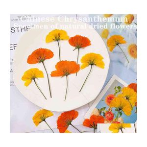 car dvr Faux Floral Greenery 12Pcs Dried Flowers Chrysant Natural Pressed Plants For Epoxy Resin Pendant Jewelry Making Craft Diy Nail Art Dhszi