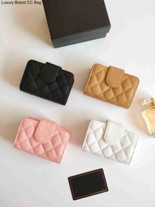 CC Card Holders Luxury brand cc wallet card holder classic pattern caviar sheepskin material wallet