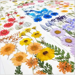 Decorative Flowers & Wreaths Real Flower Pressed Net Red Sticker Face Decoration Eye Corner Petal Makeup Fairy Bridal MakeupDecorative