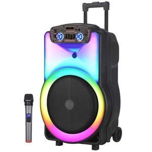 Alto -falantes portáteis 12 polegadas Big Wireless Bluetooth alto -falante ao ar livre coluna portátil cantar dança Party home theater System com microphone r230227