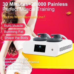 2023 DLS-EMSLIM Neo 12 Tesla High Power Hi-emt Body Muscle Contouring Massage Machine Emszero Ems Beckenbodenstimulationsgerät