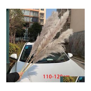 DVR de carro Flores decorativas grinaldas pampos extra grandes 120 cm de cor cinza/branca de buquê de buquê seco natural e fofo boho para casar dhsav