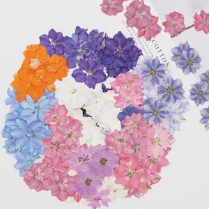 装飾的な花の花輪60pcsプレスドライドライコンソリダアジャシスフラワープラント植物用宝石用ポストカード招待状カード電話ケースブックマークDIY 230227