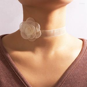 Choker Chokers mode Pretty Girls Black White Lace Halsband Kvinnor Gotiska stretch smycken Rose Flower Jubileum Giftschokers Bloo22