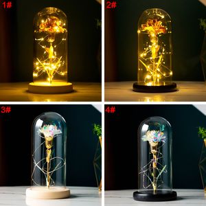 Gold Foil Carnation Flower With String Light Gift Glass Cover Holder Emulation Carnations Mother's Day Valentine's Day Flowers Flor De Clavel De Lamina Dorada