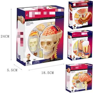 Science Discovery 4D Master Puzzle Human Hody Organ Anatomisk modell Montering Toy Teaching Model Biologiska pedagogiska leksaker 230227