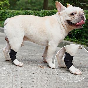 犬のカーシートは、短いペット補助ストラップ脚の傷害関節炎温かいブラケット術後回復防止用品をカバーしています