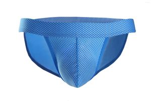 Underbyxor ankomst märke underkläder män sexiga trosor bikini g-sträng thongs jockstrap nylon t-back shorts