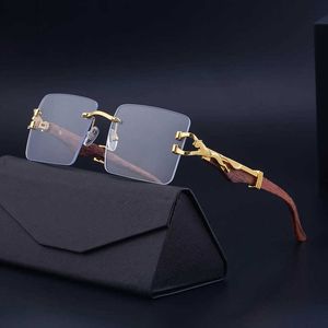 Fashion Sunglasses Luxury Brand Designer Outdoor Summer Partagas Retro Vintage Rimless Rectangle Leopard Wood Grain Female Shade for Women Men