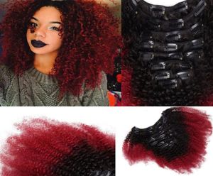 T1b Red Ombre Clip In Human Hair Extensions Afro Kinky Curly For Black Women Two Tone Brazilian Virgin Hair Clip Ins 100g 7pcs81593033891