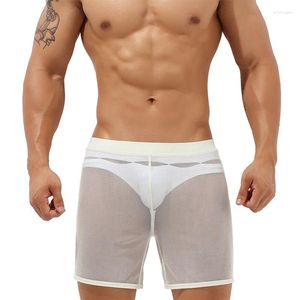 Underpants Sexy Men Underwear Mesh Transparent Long Boxer Shorts Calzoncillos Casual Sports Breathable Trunks Slip Hombre Panties Plus Size