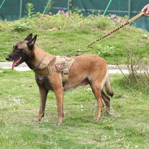 Sele militär taktisk hundsele patrull k9 arbetar husdjur krage liten stor hund sele hundväst med handtag husdjursprodukter