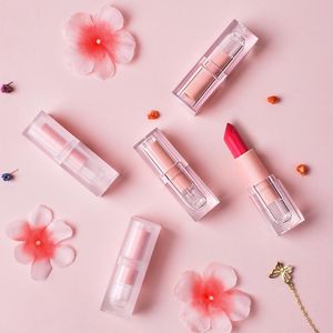 Bottiglie all'ingrosso trasparente/opaco quadrato vuoto vuoto 12,1 mm tubo di rossetto per labbra contenitore con guscio di rossetto Cosmetici bottiglia ricaricabile