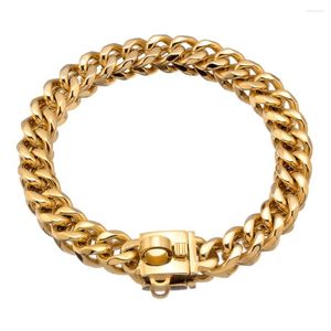 Collari per cani Catene in oro 18 carati Collana a strozzo per cani di taglia media personalizzata 19 mm di larghezza 16-26 pollici Cuban Link Pitbull Bully