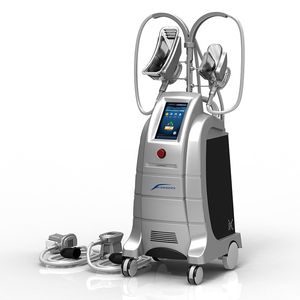 Etg50-4S Macchina dimagrante Nuovi 4 manipoli Cryo Lipolisi Macchina dimagrante Freeze Fat Therapy Vacuum Beauty Device