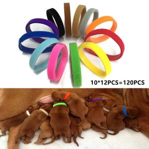 Yakalar 10x12 PCS köpek yavrusu yenidoğan evcil hayvanlar yakaları tanımlanabilir naylon küçük evcil köpek yakaları yavru kedi kolları çukur köpeği yaka