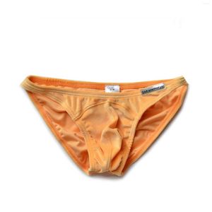 Underpants Men's Underwear Polyester Low Waist Sexy Fleece Formal Shorts Business Solid Color Warm Briefs