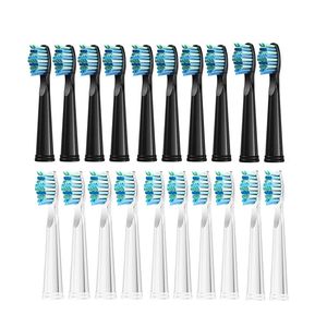 Escova de dentes 10 Pcs Substituição Cabeça de Escova Macia Dupont Cerdas Recargas para FairywillSeago Electric FWSG 507508515551917959 230602